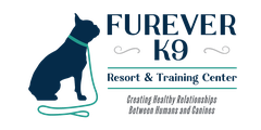 Furever K9 logo