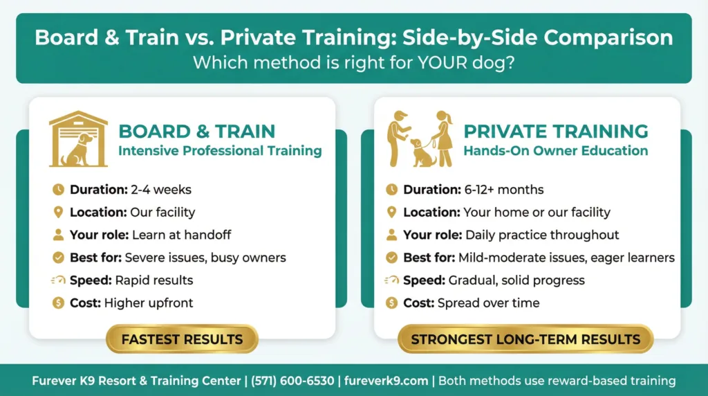 Board and Train vs. Private Training side-by-side comparison infographic