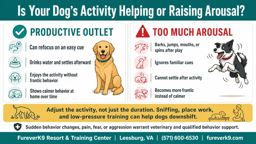 Infographic on whether your dog's activity is helping or raising arousal
