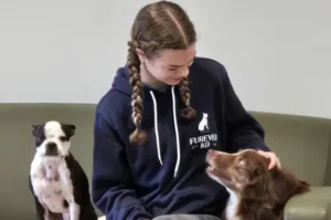 A girl sits on a couch, petting a brown dog, with a small black and white dog beside her.