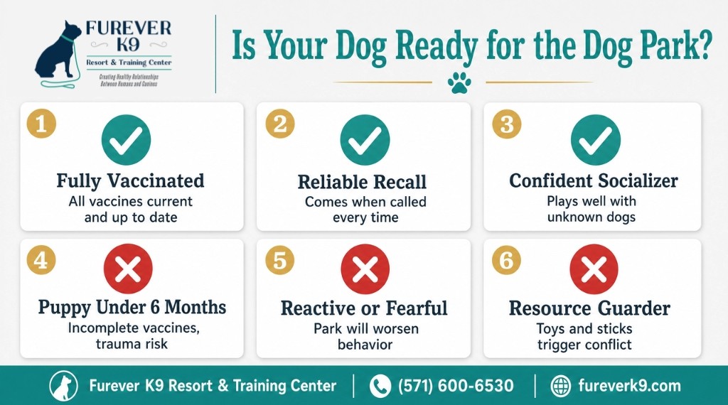 is your dog ready fo dog parks in loudon county infographics