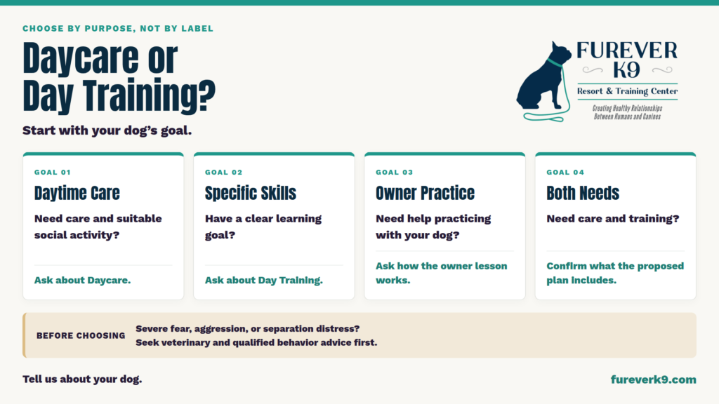 Furever-K9-Daycare-vs-Day-Training-Infographic