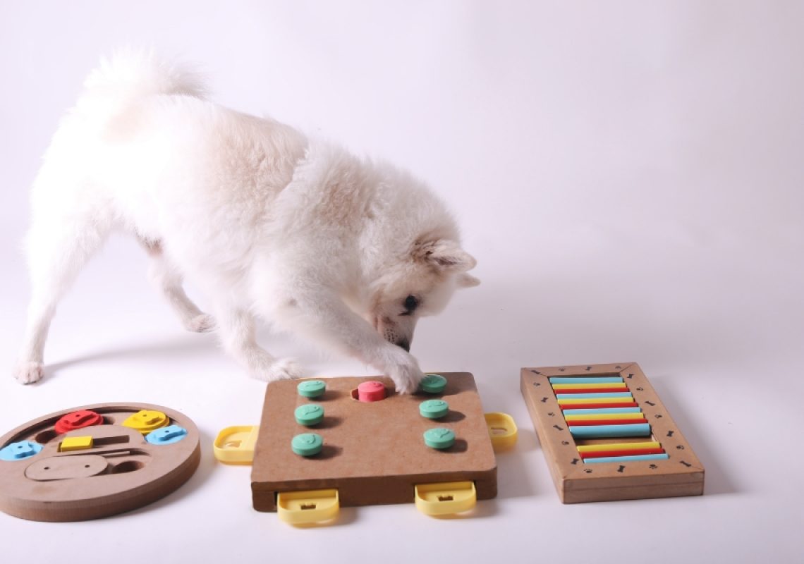 FK9 Mental Stimulation of Dogs Blog