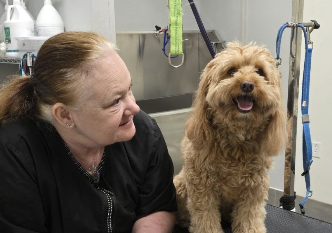 How Do You Clean Your Dog’s Ears Safely at Home