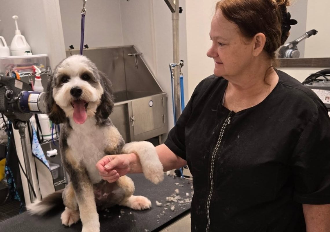 How to Work With Your Professional Dog Groomer