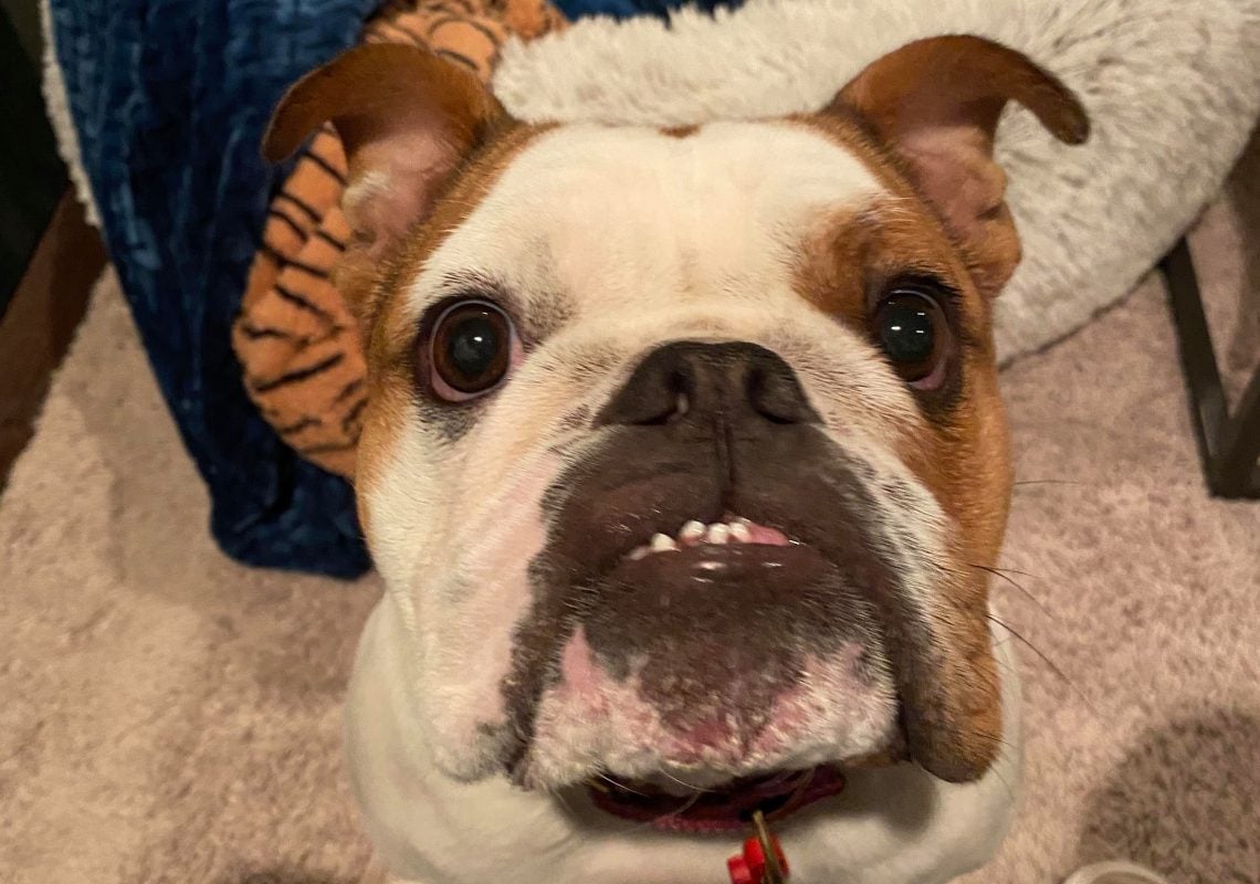 Penny